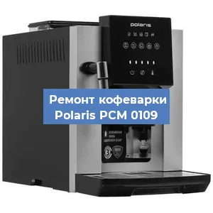 Замена прокладок на кофемашине Polaris PCM 0109 в Челябинске